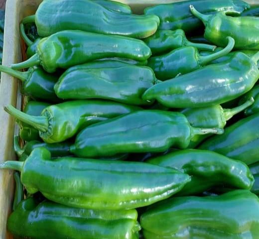 pepper