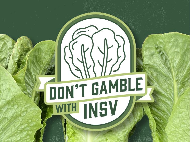 Don't gamble with insv