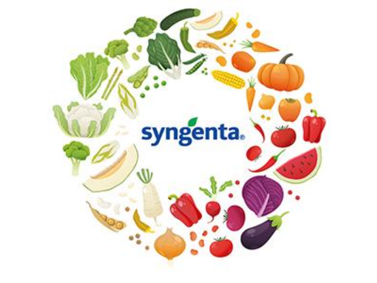 two-column crop image syngenta