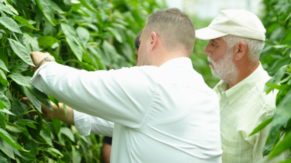 ourgrowers image
