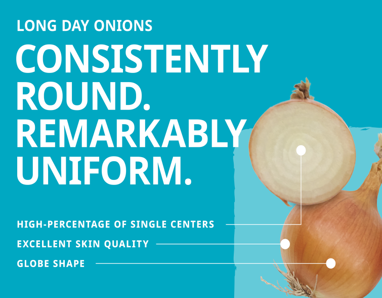 Graphic with onion photo and text: “Consistently round. Remarkably uniform.”