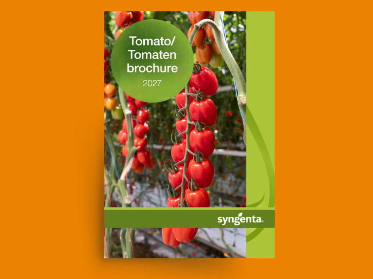 tomato_catalog_755x566.png
