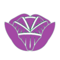 red_cabbage_icon