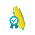 corn-ribbon-icon