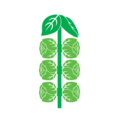 Brussels Sprouts Icon