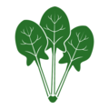 Spinach Icon