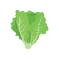 Vegetable icon Syngenta