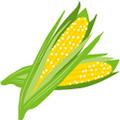 cropicons_sweetcorn_bicolor_120x120_drupal.jpg
