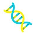 PortafolioPimentos-DNA