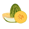 Melon