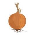 Oignon