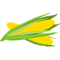 Csemegekukorica fajtaválaszték