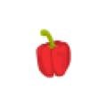 sweetpepper-illustration