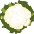 high_res_png-cropicons_cauliflower_white.png