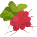 radish_100x100.png