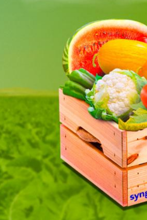 Wooden crate of fruits and vegetables in a green field, with a sliced grape fruit.