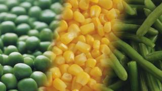 Sweet Corn Processor Page Syngenta