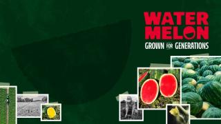 Grown for Generations Header