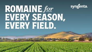 Romaine for every season, every field.