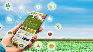 Hand holding smartphone with eco app icons over a green farm field under blue sky