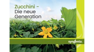 Syngenta banner with zucchini plants and text “Zucchini – The new Generation”zucchini_catalog_1132x637.png