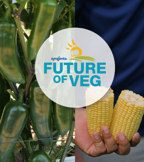 mobile future of veg hero banner
