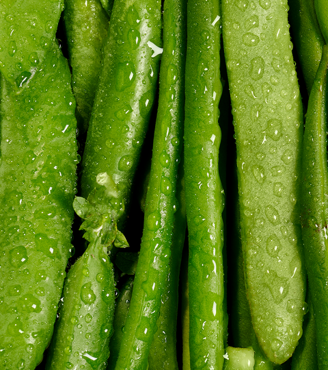 landing page hero beans