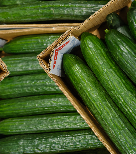 Banner Cucumbers