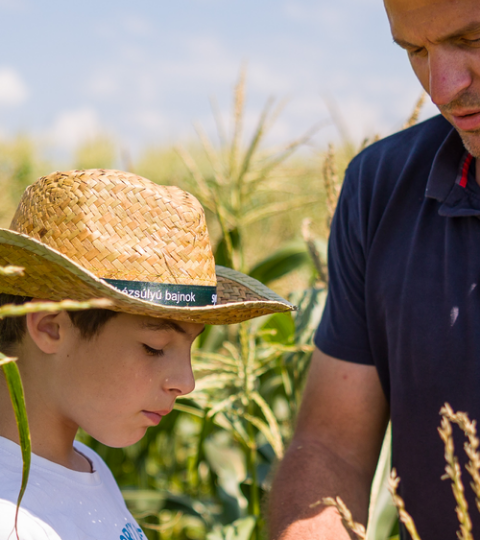 landing page hero corn