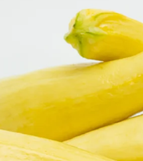 Landing page hero squash