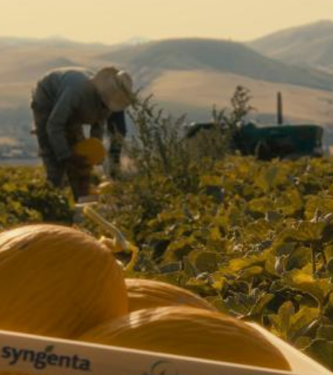 landing page our growers