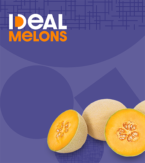 Banner ideal melons 480x540