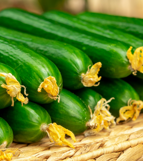 landing page hero cucumber