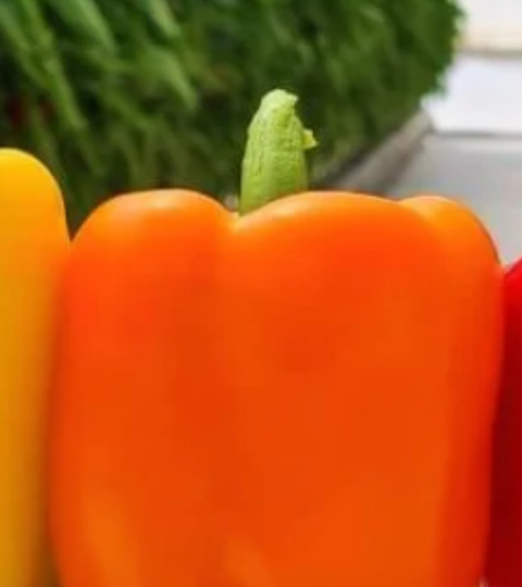 landing page hero peppers