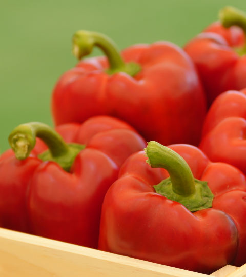 Two wooden crates filled with red tomatoes on a green surface