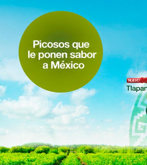 Banner with green landscape, blue sky, and three product bottles on the right