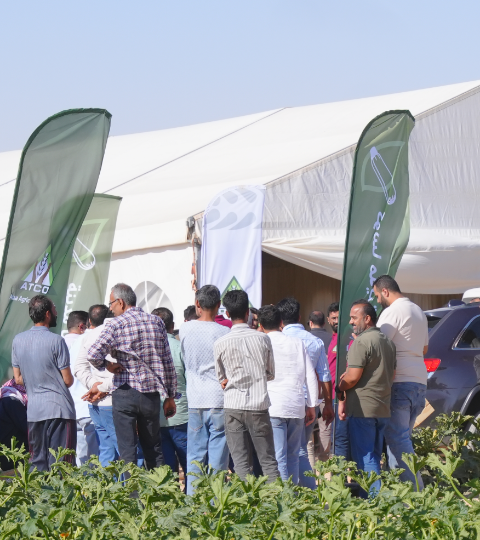 Crowd lined up outside a large white tent at dusk