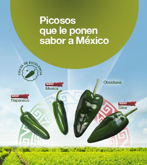 Graphic of five green chili peppers with text “Picosos que le ponen sabor a México”