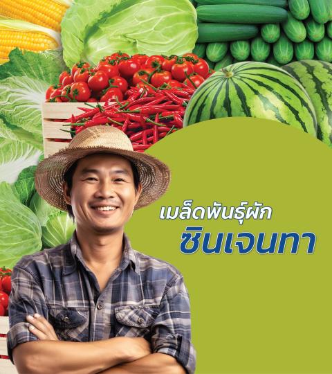 Smiling farmer in straw hat with vegetable collage and Thai text on green background