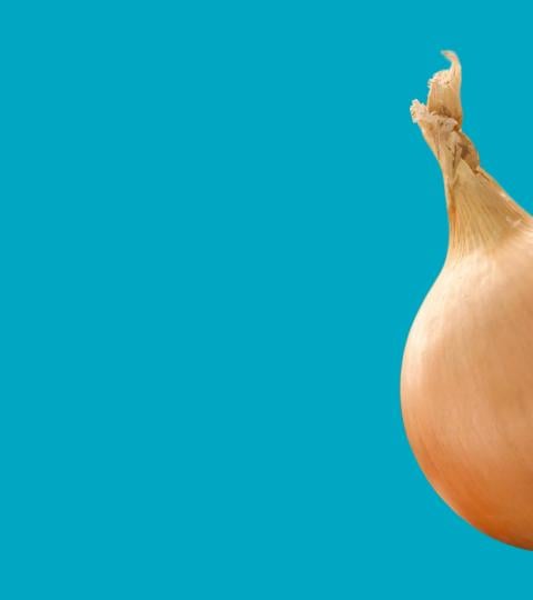 Three onions on a teal background: yellow, red, and a white onion with greens