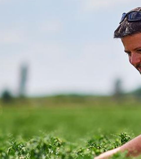 Farmer in a field, crouching among green crops under a cloudy sky.