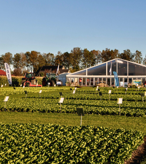 Syngenta Fields Of Innovations 2026