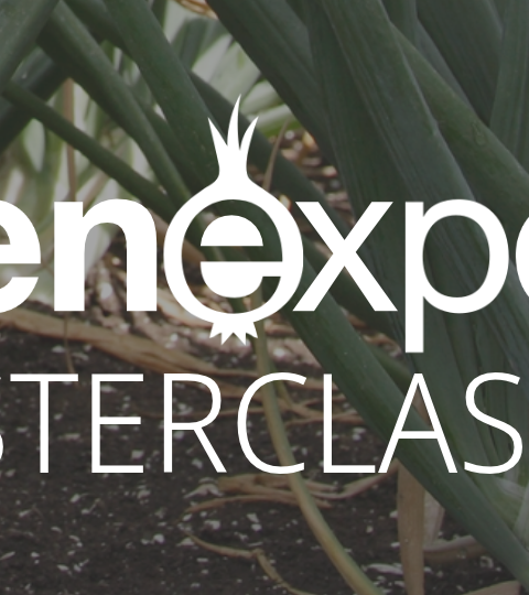 Uienexpert Masterclasses logo over a green plant background