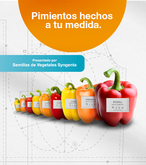 mobile_banner_pimientos_480x540.png