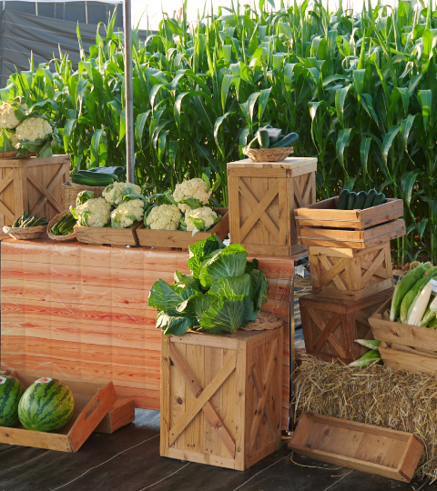Outdoor market stall with wooden crates of vegetables and plants under a canopy