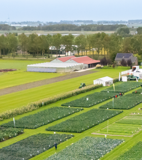 Syngenta Fields Of Innovations 2026