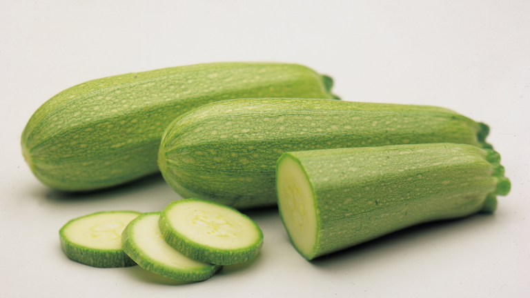 webimage-Otto-CA-164-01SP-jpg.png