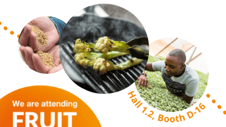 Syngenta Vegetables at Fruit Logistica 2022