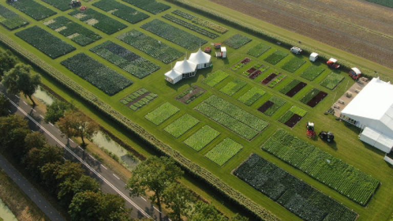 Syngenta Vegetables Fields of Innovation in the Netherlands