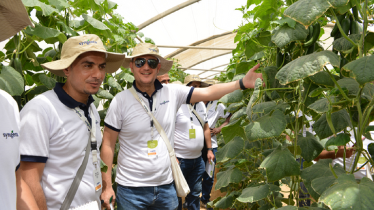 Syngenta Vegetables Expert Insights